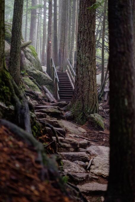 Slice Of Heaven * Squamish