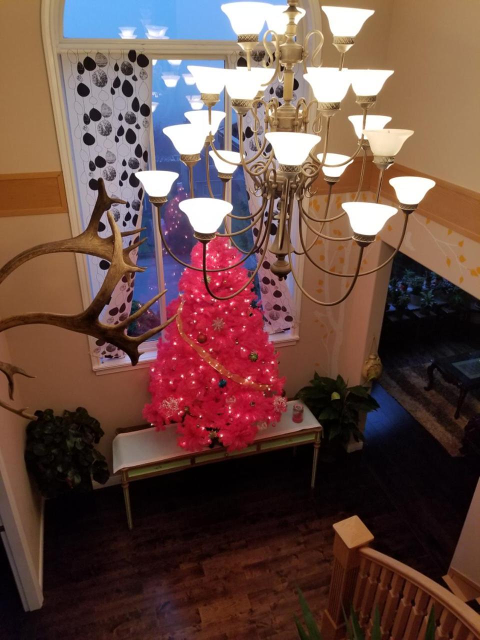 Bed & Breakfast Highlands