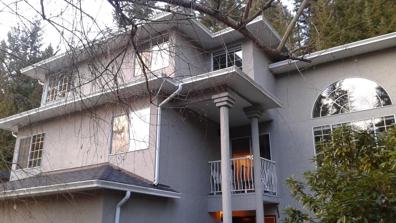 Willow Tree House